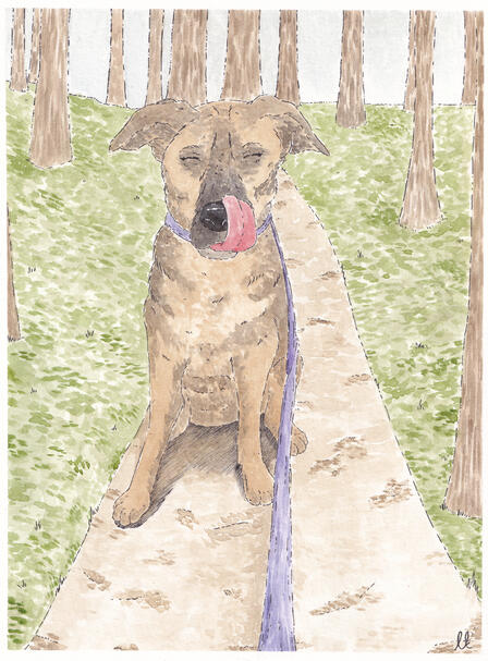 Gwen 'pawtrait' painting