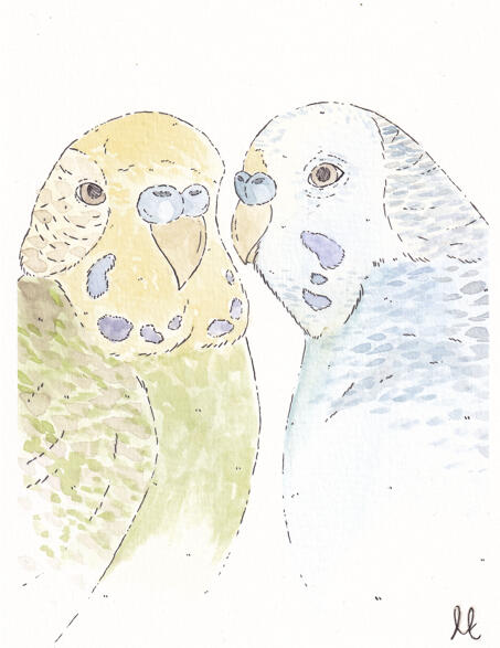 Budgie 'pawtrait' painting